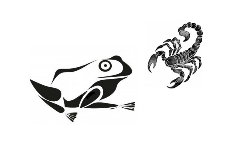 la grenouille et le scorpion